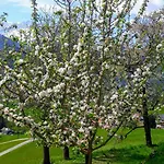 Appartement Katharina