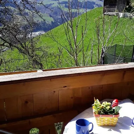 Apartman Katharina Bischofshofen