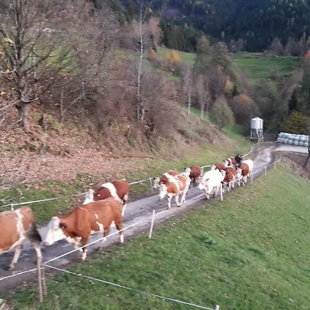 Katharina Apartament *