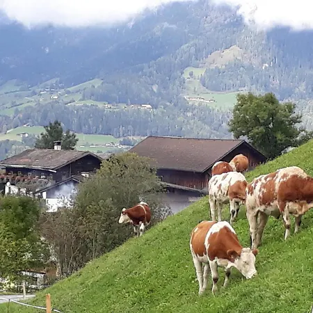 Katharina Apartman Bischofshofen